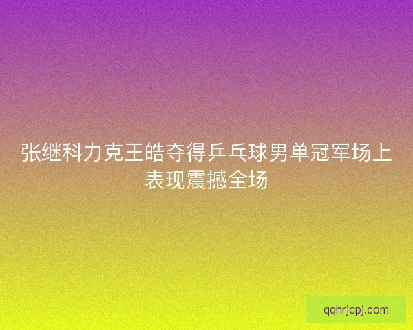 张继科力克王皓夺得乒乓球男单冠军场上表现震撼全场